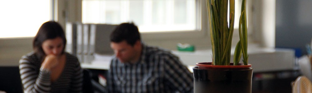 2 Collaborateurs concentrés sur leurs projets Collaborateurs concentrés sur leurs projets