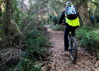 Citec_Soft-active-mobility_Design of a cycle network, Sophia-Antipolis