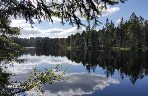 Citec_Etang_Gruere_Jura_etude_accessibilite_tourisme Crédits : R.Broquet