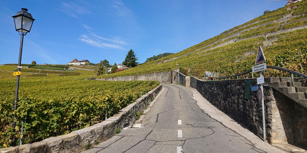 Citec-presidence-de-la-sous-commission-des-limitations-de-vitesse-sclv-canton-de-vaud-suisse 3 Citec-presidence-de-la-sous-commission-des-limitations-de-vitesse-sclv-canton-de-vaud-suisse 3