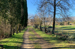 Studi di itinerari in modalità attiva, Sophia Antipolis. Crediti: Citec